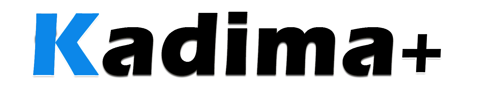 קדימה פלוס בניית ועיצוב אתרים